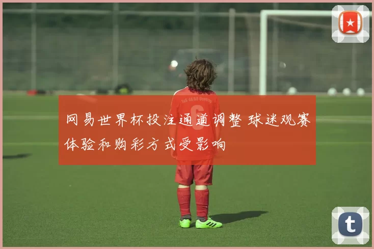 网易世界杯投注通道调整 球迷观赛体验和购彩方式受影响