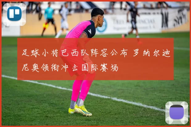 足球小将巴西队阵容公布 罗纳尔迪尼奥领衔冲击国际赛场