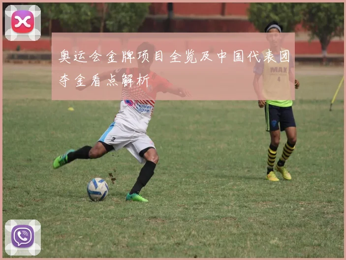 奥运会金牌项目全览及中国代表团夺金看点解析