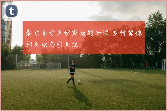 泰尔齐奇罗伊斯话题升温 多特蒙德相关动态引关注