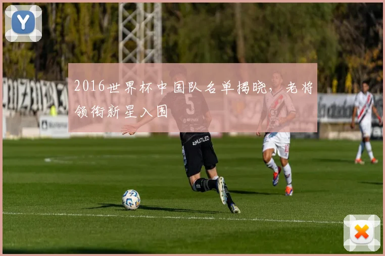 2016世界杯中国队名单揭晓,老将领衔新星入围