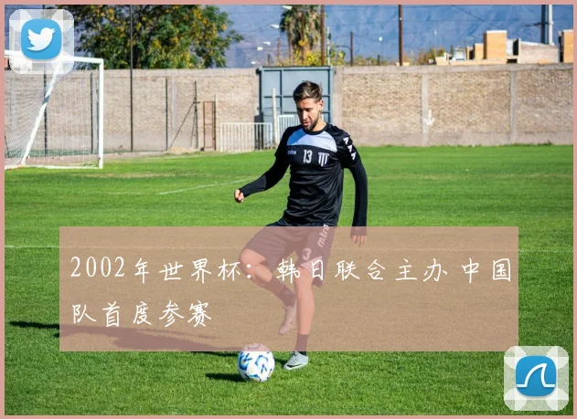 2002年世界杯:韩日联合主办 中国队首度参赛