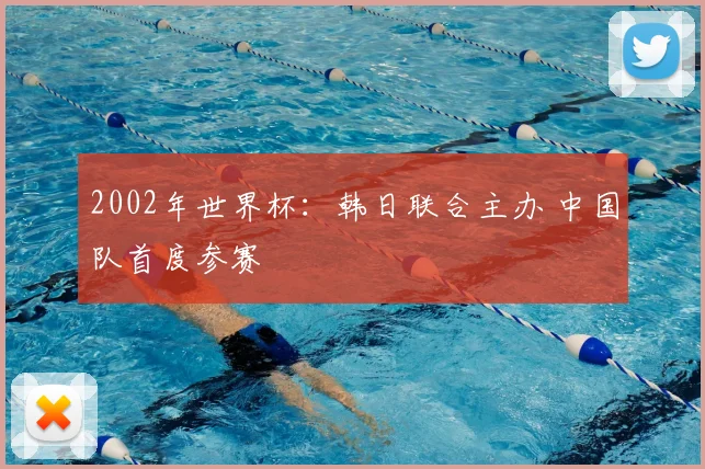 2002年世界杯:韩日联合主办 中国队首度参赛